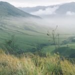 Find your why blog cover